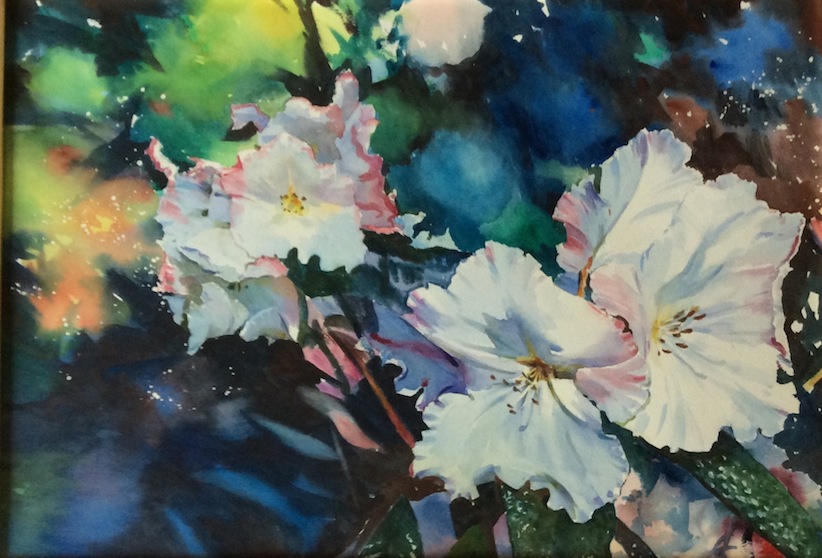 Richard Bolton | Floral Dance | watercolour | McAtamney Gallery and Design Store | Geraldine NZ